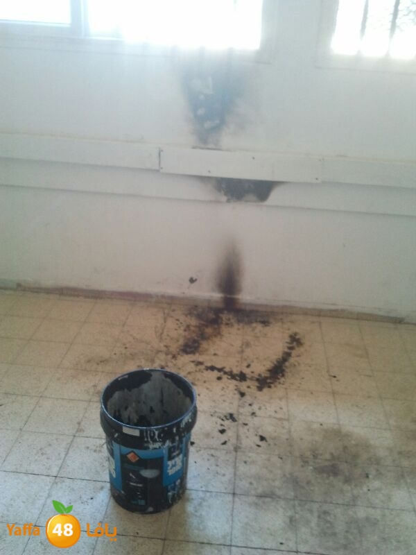 tomashin fire 625 (2).jpg